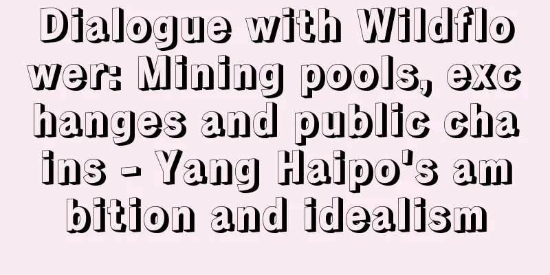 Dialogue with Wildflower: Mining pools, exchanges and public chains - Yang Haipo's ambition and idealism