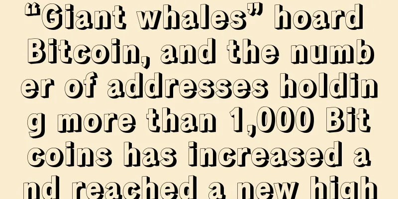“Giant whales” hoard Bitcoin, and the number of addresses holding more than 1,000 Bitcoins has increased and reached a new high