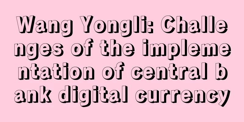 Wang Yongli: Challenges of the implementation of central bank digital currency