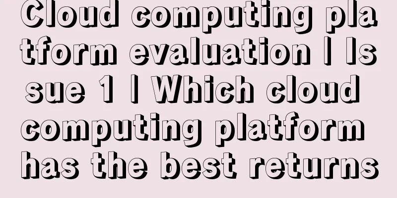 Cloud computing platform evaluation | Issue 1 | Which cloud computing platform has the best returns