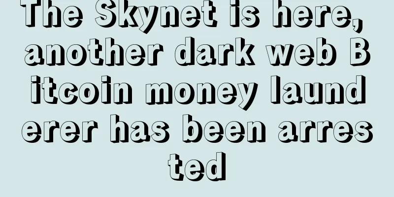 The Skynet is here, another dark web Bitcoin money launderer has been arrested
