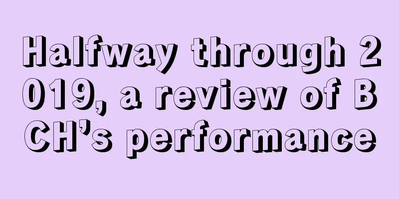 Halfway through 2019, a review of BCH’s performance
