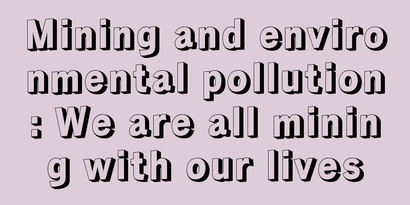 Mining and environmental pollution: We are all mining with our lives