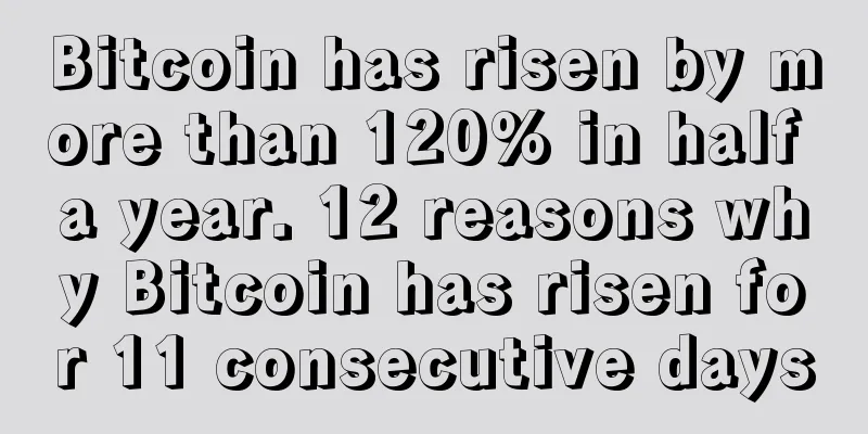 Bitcoin has risen by more than 120% in half a year. 12 reasons why Bitcoin has risen for 11 consecutive days