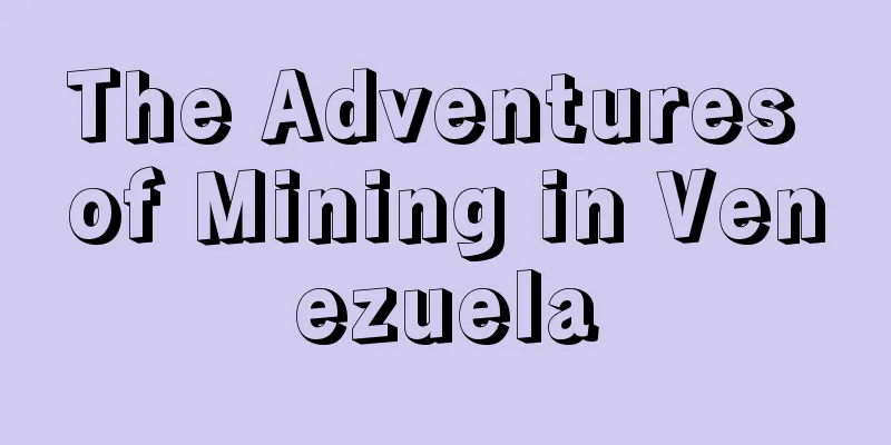 The Adventures of Mining in Venezuela