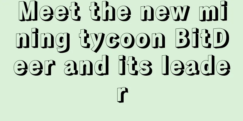 Meet the new mining tycoon BitDeer and its leader