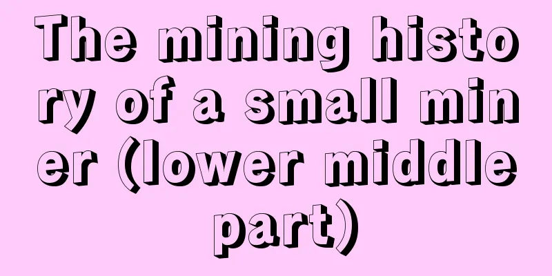 The mining history of a small miner (lower middle part)