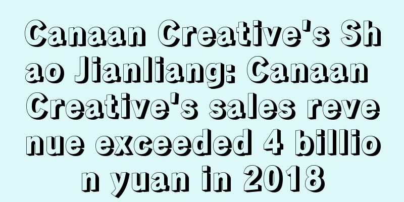 Canaan Creative's Shao Jianliang: Canaan Creative's sales revenue exceeded 4 billion yuan in 2018