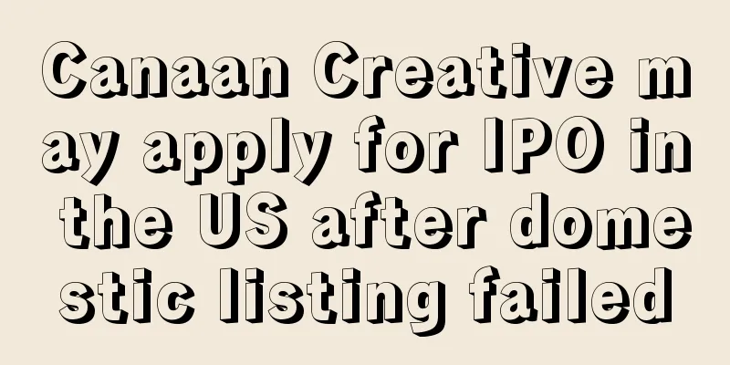 Canaan Creative may apply for IPO in the US after domestic listing failed
