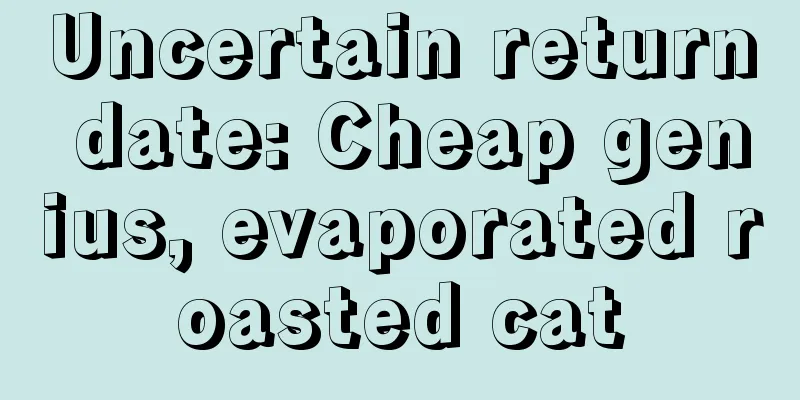 Uncertain return date: Cheap genius, evaporated roasted cat