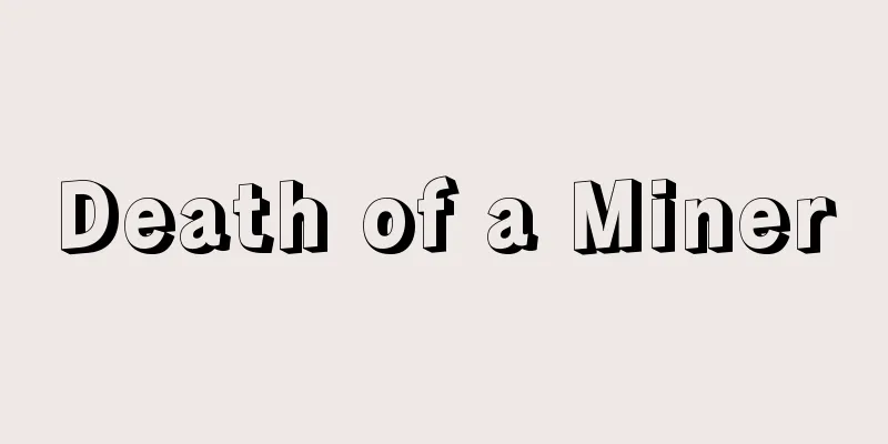 Death of a Miner