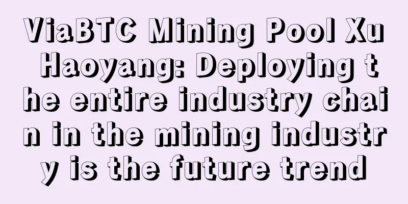 ViaBTC Mining Pool Xu Haoyang: Deploying the entire industry chain in the mining industry is the future trend