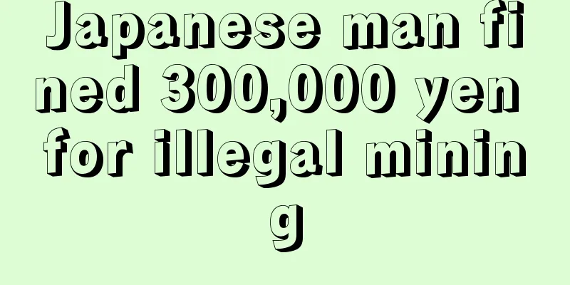 Japanese man fined 300,000 yen for illegal mining