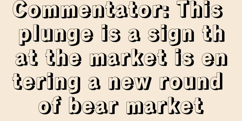 Commentator: This plunge is a sign that the market is entering a new round of bear market