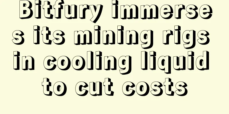 Bitfury immerses its mining rigs in cooling liquid to cut costs