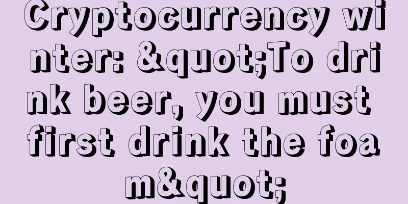 Cryptocurrency winter: "To drink beer, you must first drink the foam"