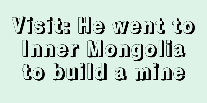 Visit: He went to Inner Mongolia to build a mine