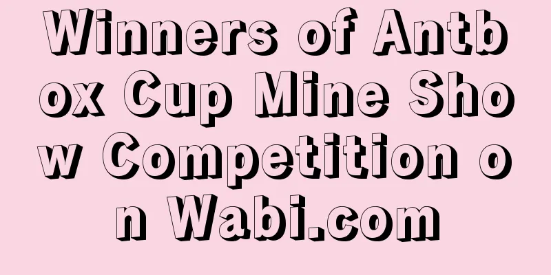 Winners of Antbox Cup Mine Show Competition on Wabi.com