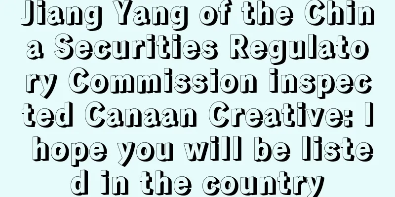 Jiang Yang of the China Securities Regulatory Commission inspected Canaan Creative: I hope you will be listed in the country