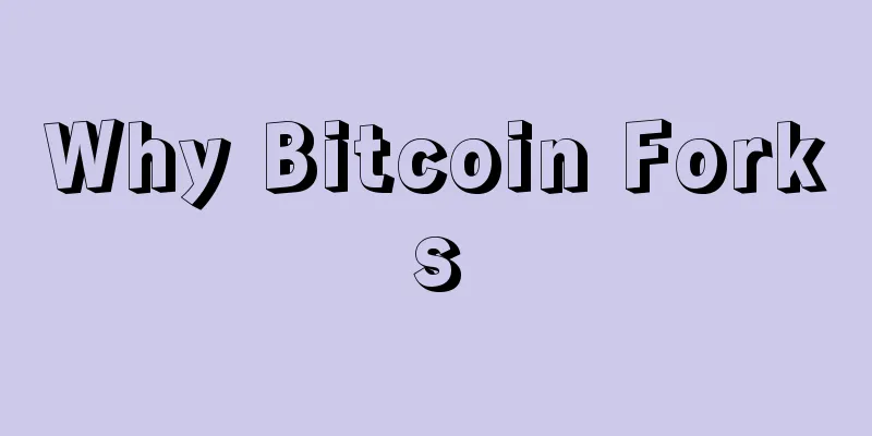 Why Bitcoin Forks