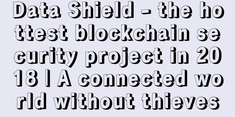 Data Shield - the hottest blockchain security project in 2018 | A connected world without thieves