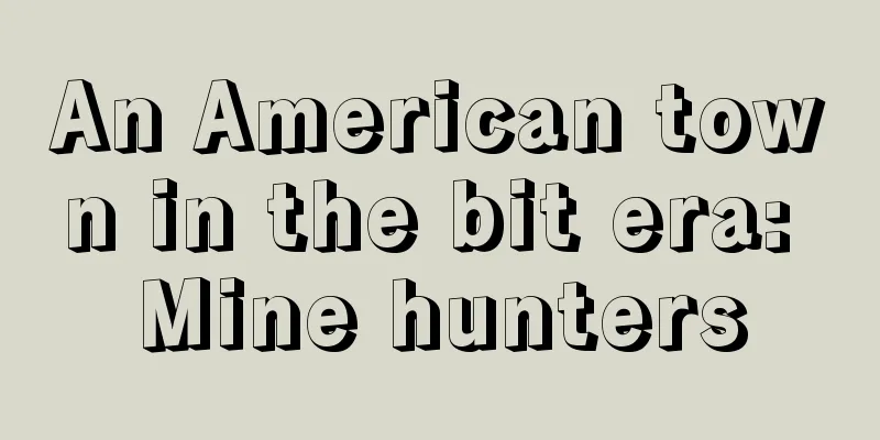 An American town in the bit era: Mine hunters
