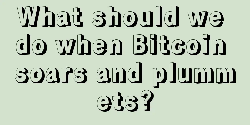 What should we do when Bitcoin soars and plummets?