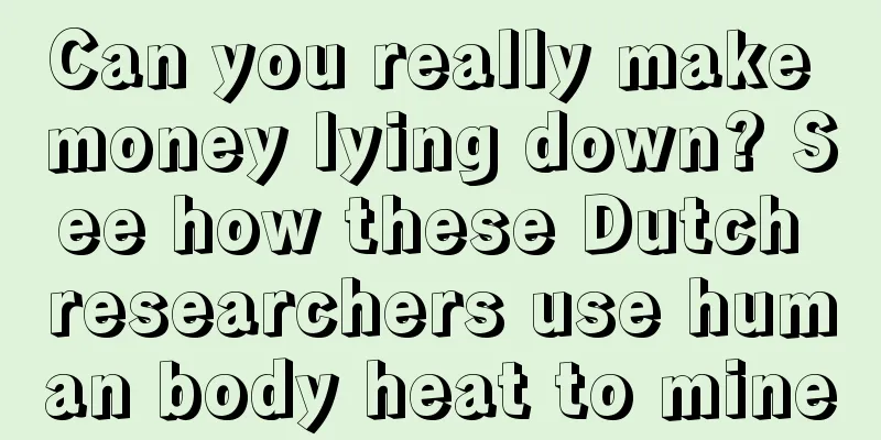 Can you really make money lying down? See how these Dutch researchers use human body heat to mine