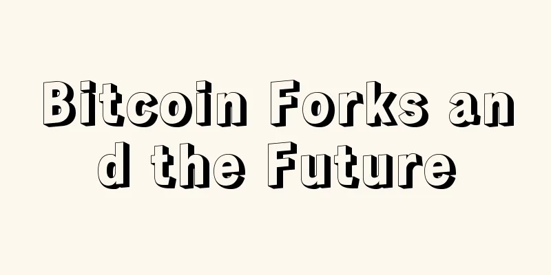 Bitcoin Forks and the Future