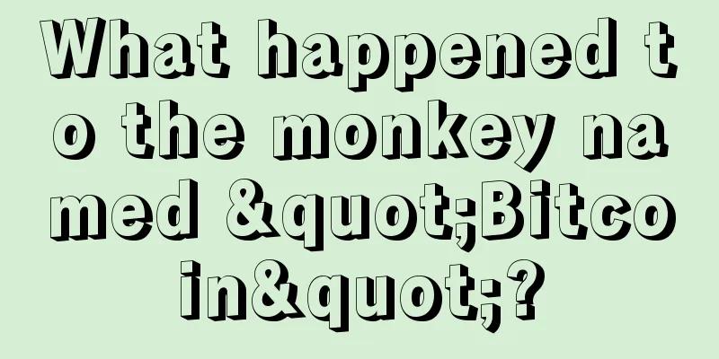What happened to the monkey named "Bitcoin"?