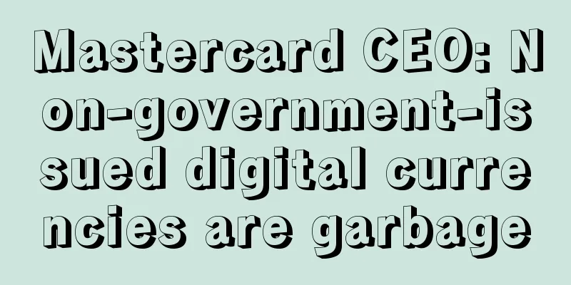 Mastercard CEO: Non-government-issued digital currencies are garbage