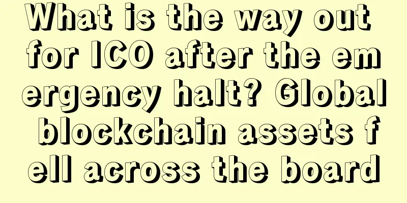 What is the way out for ICO after the emergency halt? Global blockchain assets fell across the board