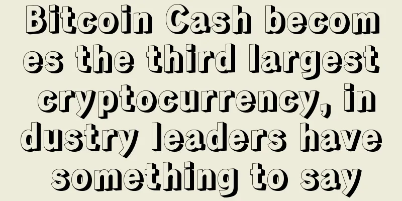 Bitcoin Cash becomes the third largest cryptocurrency, industry leaders have something to say
