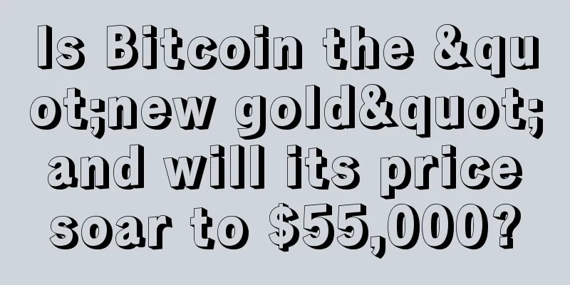 Is Bitcoin the "new gold" and will its price soar to $55,000?