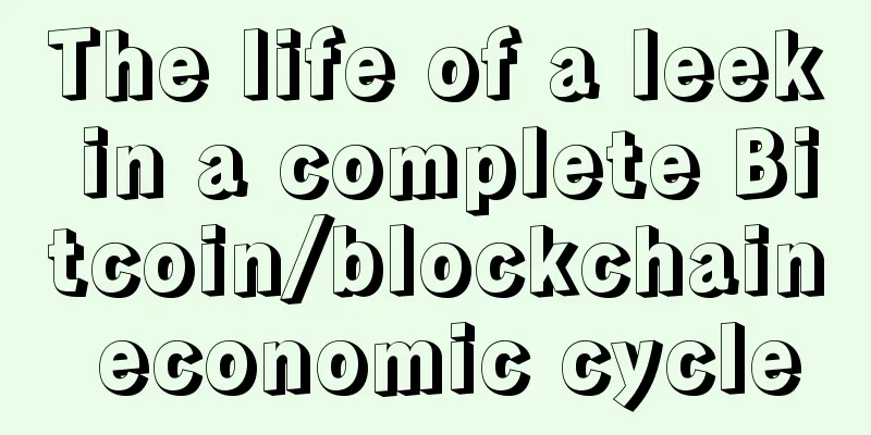 The life of a leek in a complete Bitcoin/blockchain economic cycle