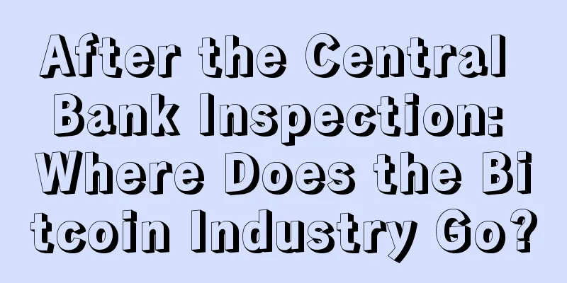 After the Central Bank Inspection: Where Does the Bitcoin Industry Go?