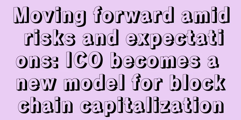Moving forward amid risks and expectations: ICO becomes a new model for blockchain capitalization
