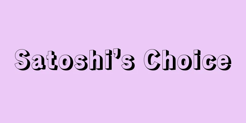 Satoshi’s Choice