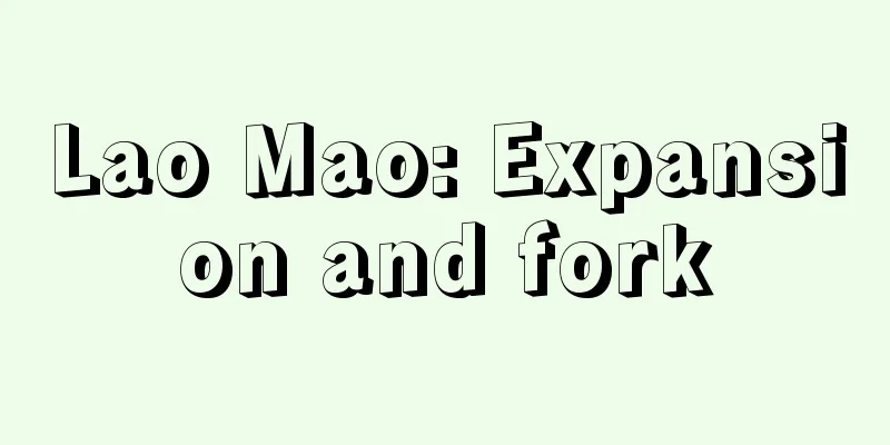 Lao Mao: Expansion and fork