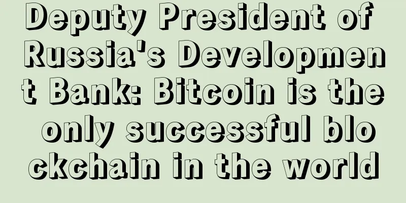 Deputy President of Russia's Development Bank: Bitcoin is the only successful blockchain in the world
