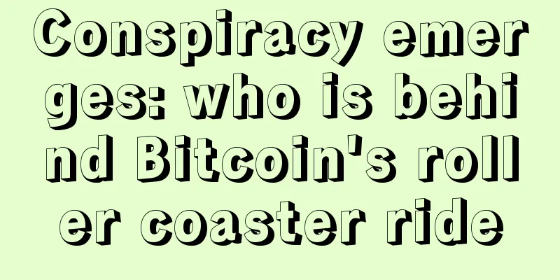 Conspiracy emerges: who is behind Bitcoin's roller coaster ride