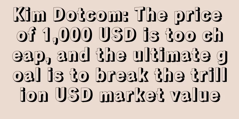 Kim Dotcom: The price of 1,000 USD is too cheap, and the ultimate goal is to break the trillion USD market value