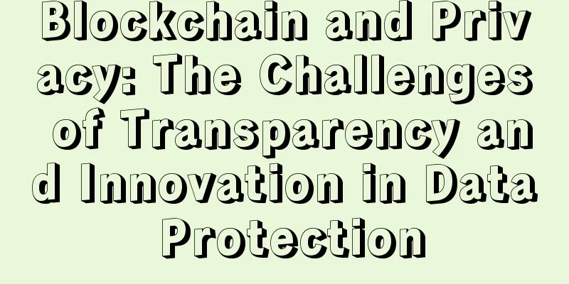 Blockchain and Privacy: The Challenges of Transparency and Innovation in Data Protection