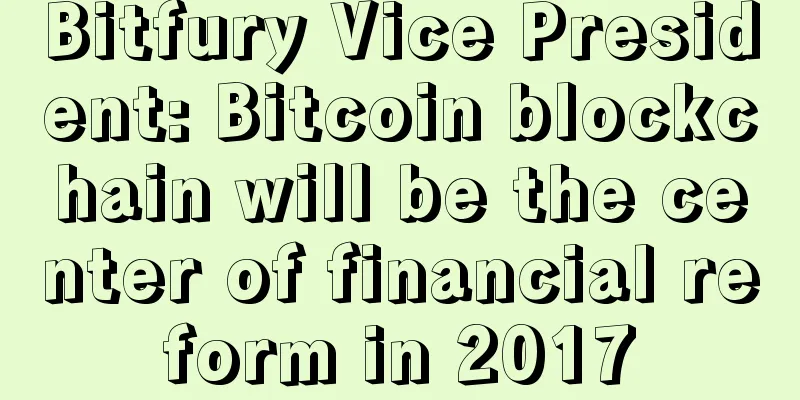 Bitfury Vice President: Bitcoin blockchain will be the center of financial reform in 2017