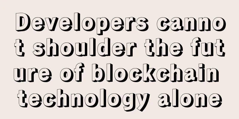 Developers cannot shoulder the future of blockchain technology alone