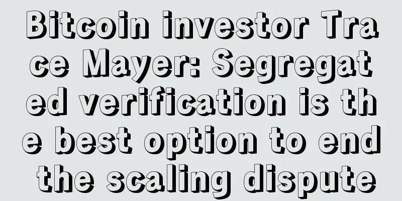 Bitcoin investor Trace Mayer: Segregated verification is the best option to end the scaling dispute