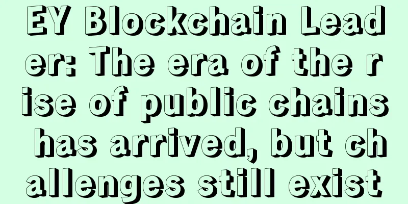 EY Blockchain Leader: The era of the rise of public chains has arrived, but challenges still exist