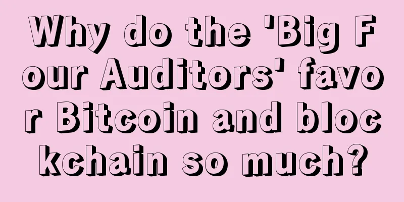 Why do the 'Big Four Auditors' favor Bitcoin and blockchain so much?