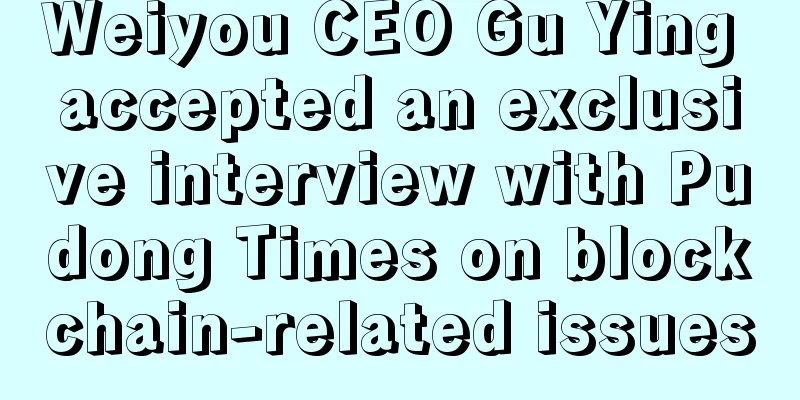 Weiyou CEO Gu Ying accepted an exclusive interview with Pudong Times on blockchain-related issues