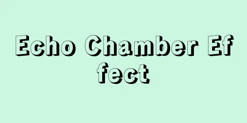 Echo Chamber Effect